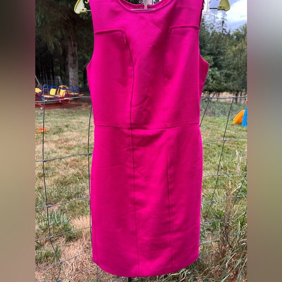 Banana Republican Pink Dress - Picture 1 of 4